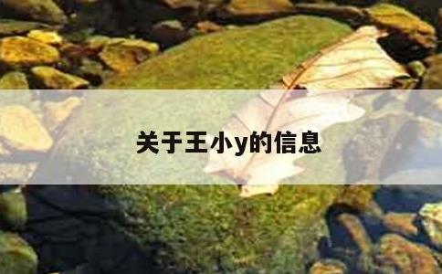 关于王小y的信息