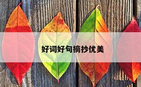 好词好句摘抄优美