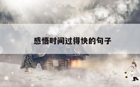 感悟时间过得快的句子