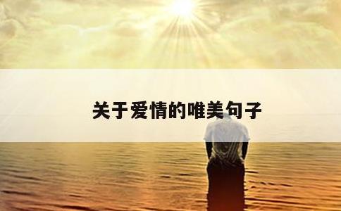 关于爱情的唯美句子
