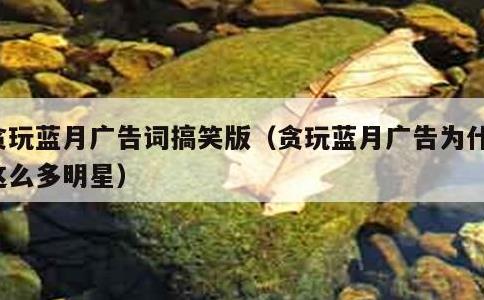贪玩蓝月广告词搞笑版，贪玩蓝月广告为什么这么多明星