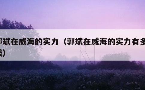郭斌在威海的实力，郭斌在威海的实力有多少钱