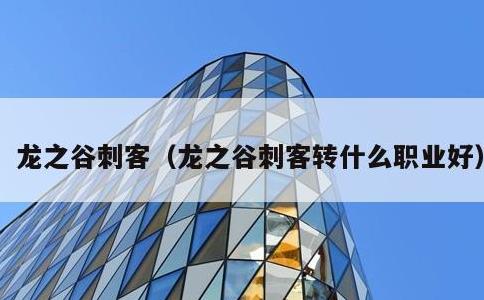 龙之谷刺客，龙之谷刺客转什么职业好