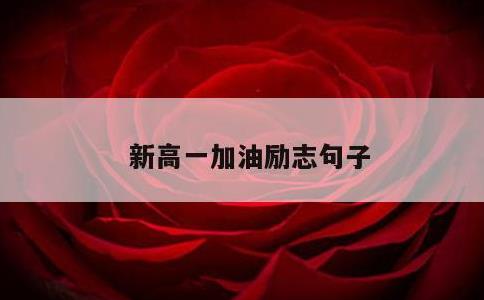 新高一加油励志句子