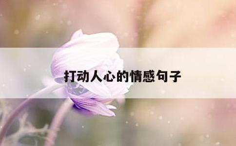 打动人心的情感句子