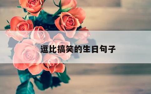 逗比搞笑的生日句子