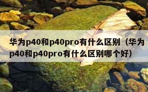 华为p40和p40pro有什么区别，华为p40和p40pro有什么区别哪个好