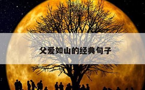 父爱如山的经典句子