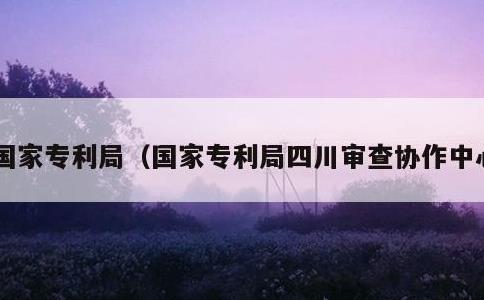国家专利局，国家专利局四川审查协作中心