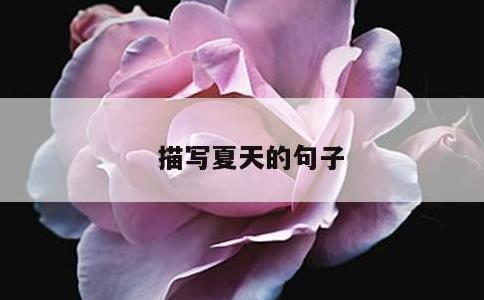 描写夏天的句子