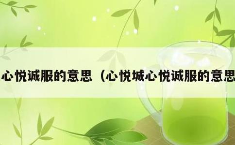 心悦诚服的意思，心悦城心悦诚服的意思
