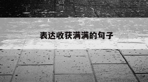表达收获满满的句子