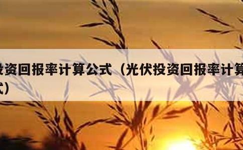 投资回报率计算公式，光伏投资回报率计算公式