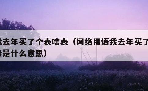 我去年买了个表啥表，网络用语我去年买了个表是什么意思