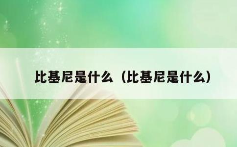 比基尼是什么，比基尼是什么