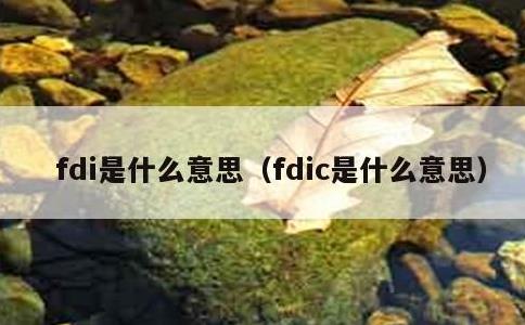 fdi是什么意思，fdic是什么意思