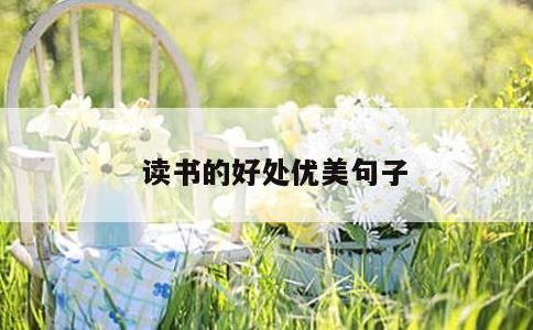 读书的好处优美句子