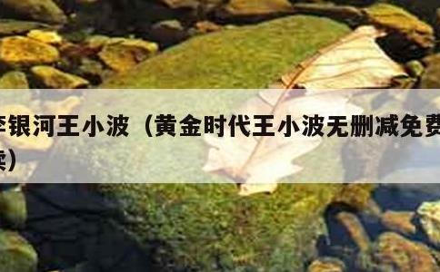 李银河王小波，黄金时代王小波无删减免费阅读