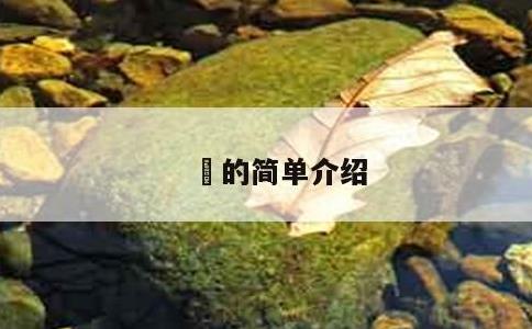 屌的简单介绍