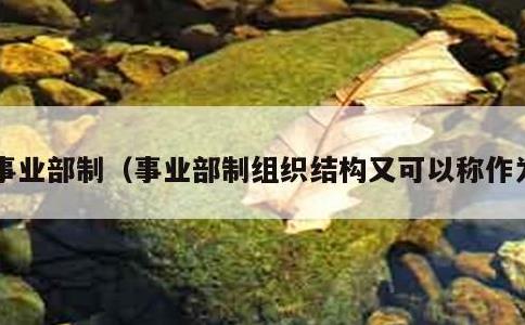 事业部制，事业部制组织结构又可以称作为