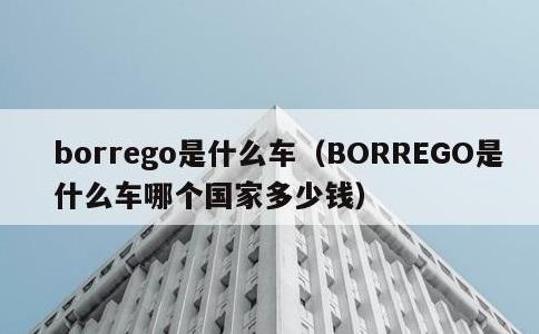 borrego是什么车，BORREGO是什么车哪个国家多少钱