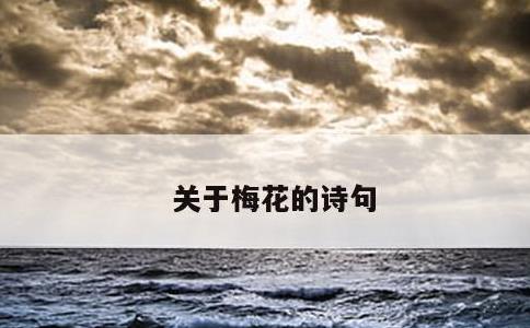 关于梅花的诗句