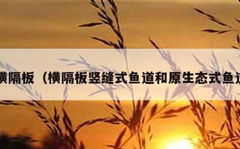 横隔板，横隔板竖缝式鱼道和原生态式鱼道