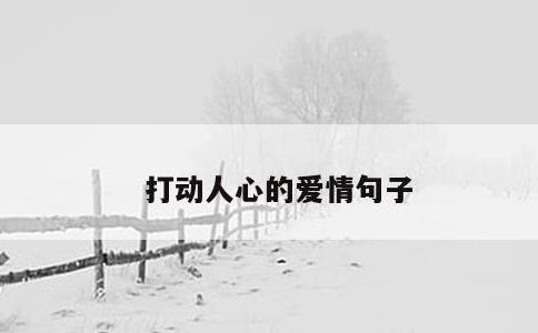 打动人心的爱情句子