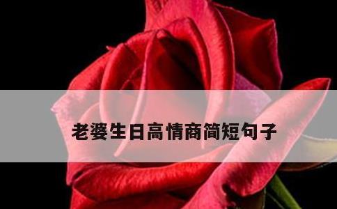老婆生日高情商简短句子