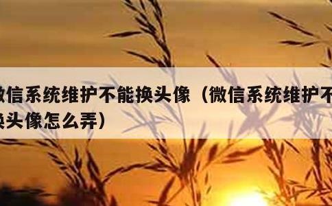 微信系统维护不能换头像，微信系统维护不能换头像怎么弄