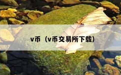 v币，v币交易所下载