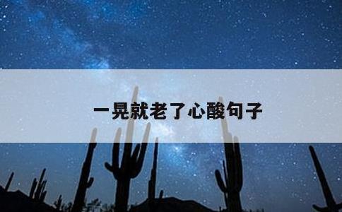 一晃就老了心酸句子