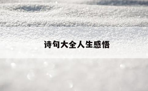 诗句大全人生感悟