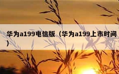 华为a199电信版，华为a199上市时间