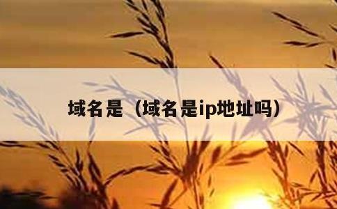 域名是，域名是ip地址吗