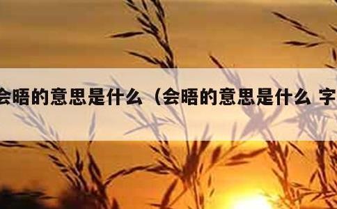 会晤的意思是什么，会晤的意思是什么 字词