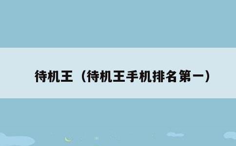待机王，待机王手机排名第一