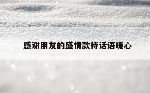 感谢朋友的盛情款待话语暖心