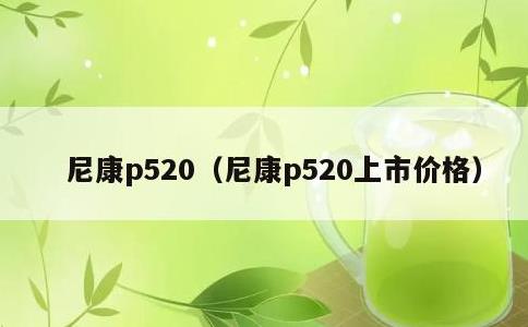 尼康p520，尼康p520上市价格