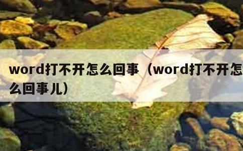 word打不开怎么回事，word打不开怎么回事儿