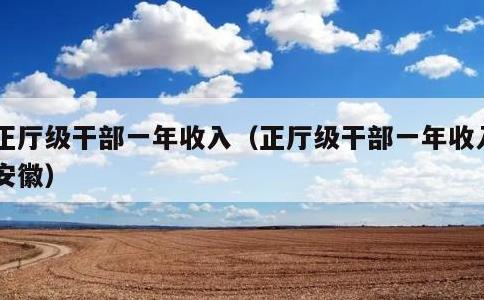 正厅级干部一年收入，正厅级干部一年收入 安徽
