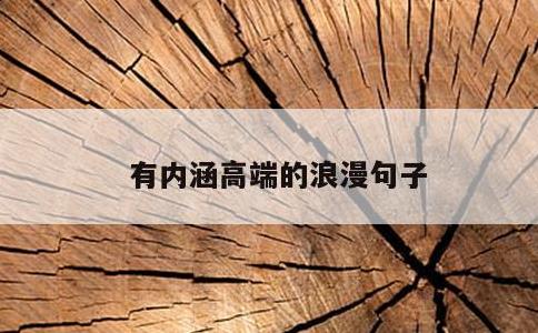 有内涵高端的浪漫句子