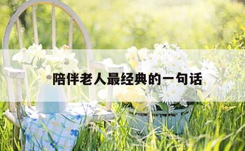陪伴老人最经典的一句话