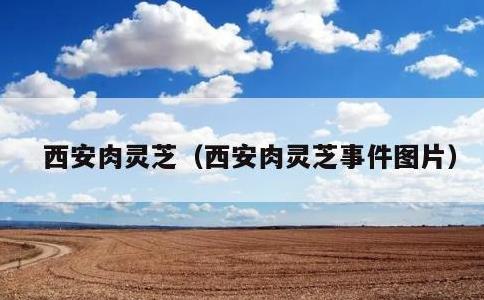 西安肉灵芝，西安肉灵芝事件图片