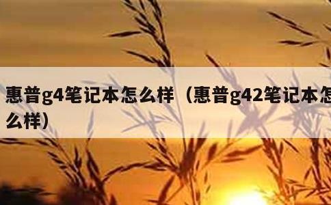 惠普g4笔记本怎么样，惠普g42笔记本怎么样