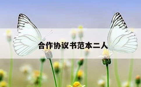 合作协议书范本二人
