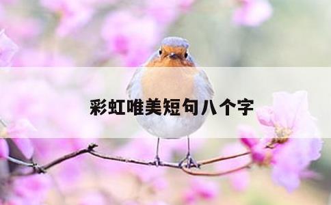 彩虹唯美短句八个字