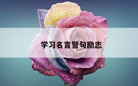 学习名言警句励志