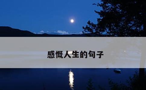 感慨人生的句子