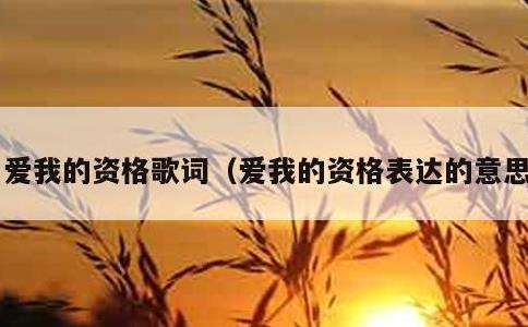 爱我的资格歌词，爱我的资格表达的意思